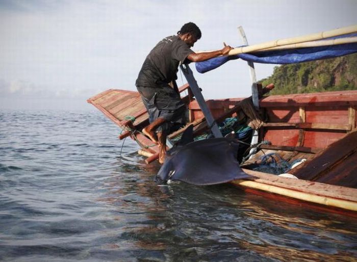Рыбалка в Индонезии (23 фото)