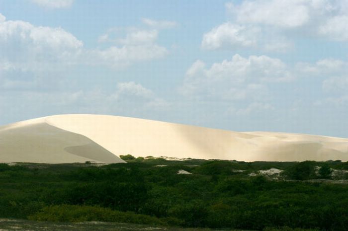 Оазис в пустыне (22 фото)