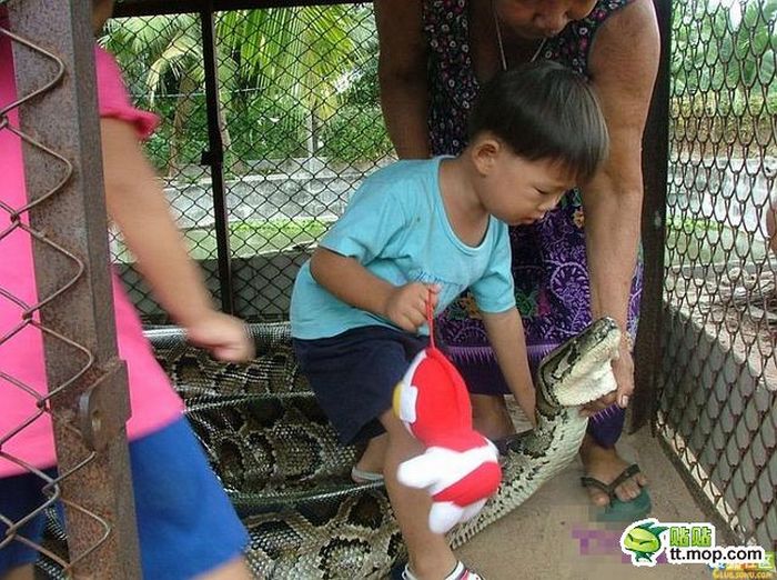 Семейный поход в зоопарк (8 фото)