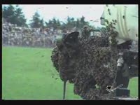 Нападение пчел во время футбола (8.2 мб)