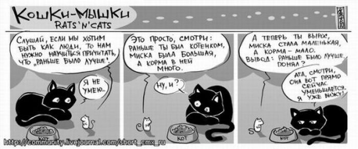 Комиксы с кошками (18 фото)