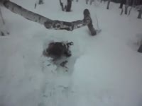 Крушение НЛО в Бурятии (4.6 мб)