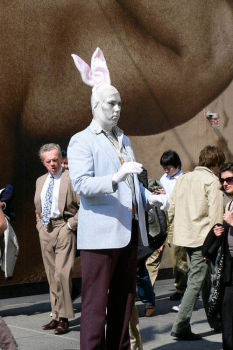 В костюме кролика (34 фото)