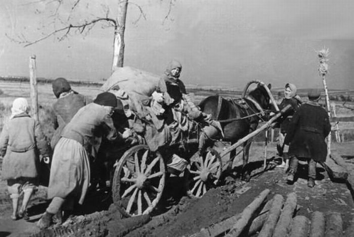 Начало войны. 1941 год (51 фото)