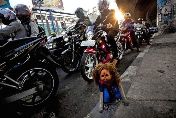 Уличные обезьянки Индонезии (16 фото)
