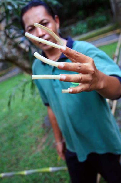 Длинные ногти (15 фото)