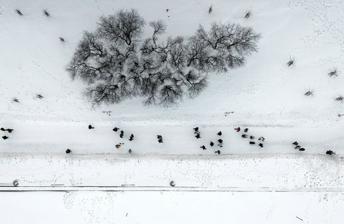Зимние фотографии с высоты птичьего полета (38 фото)