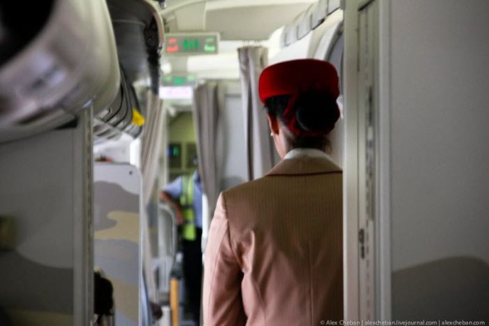 Перелет с компанией Emirates (47 фото)