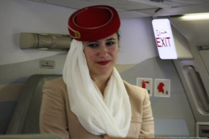 Перелет с компанией Emirates (47 фото)