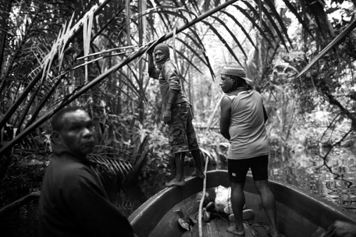 Повстанцы в Западном Папуа (8 фото)