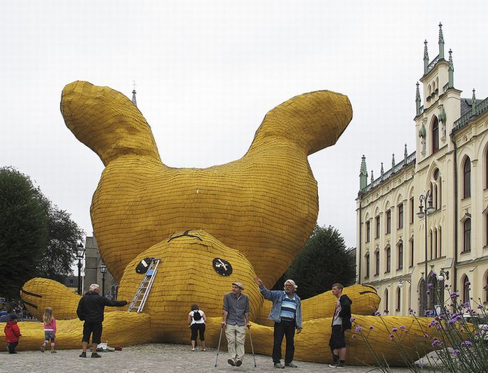 Огромный желтый кролик (8 фото)