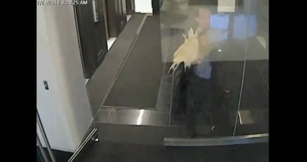 Неудачники и дверь (видео)