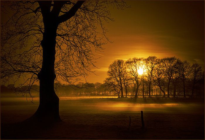 Восход солнца (55 фото)