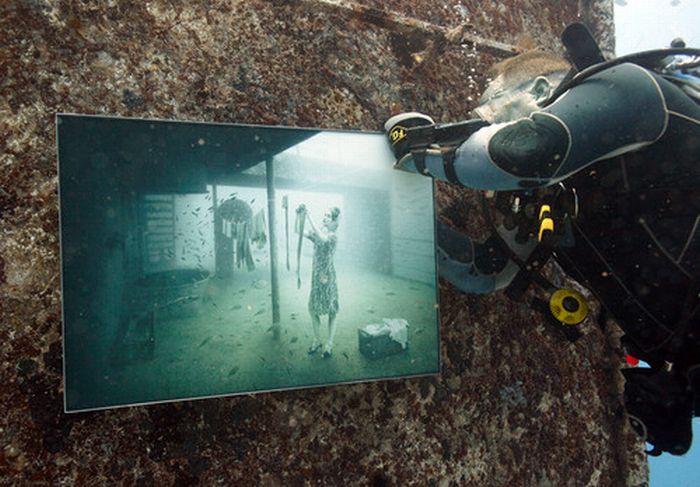 Подводная выставка в Австралии (8 фото)