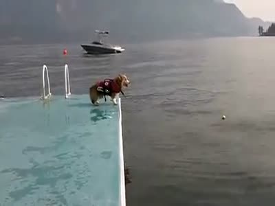 Видео дня