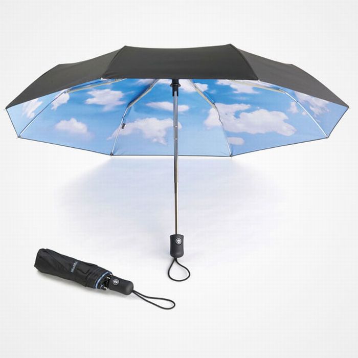 Креативные зонты (29 фото)