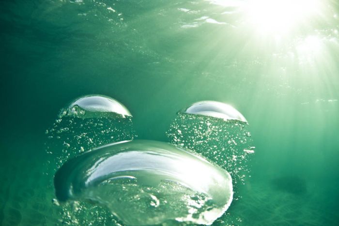 Водные пузыри (20 фото)