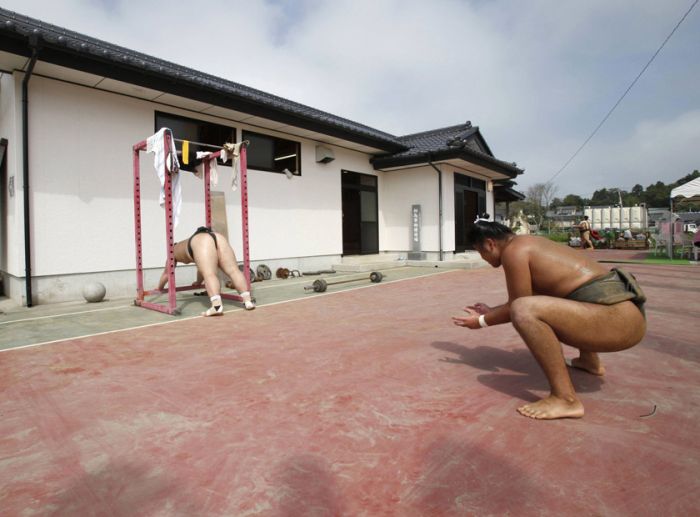 Тренировка сумоистов у Фукусимы (24 фото)