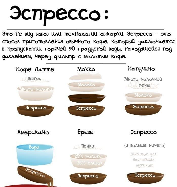 Вещи, которые необходимо знать о кофе (11 картинок)