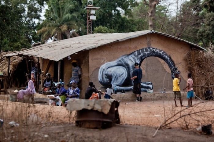 Уличное искусство Африки (15 фото)