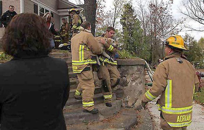 Отважный пожарный спас собаку (5 фото)