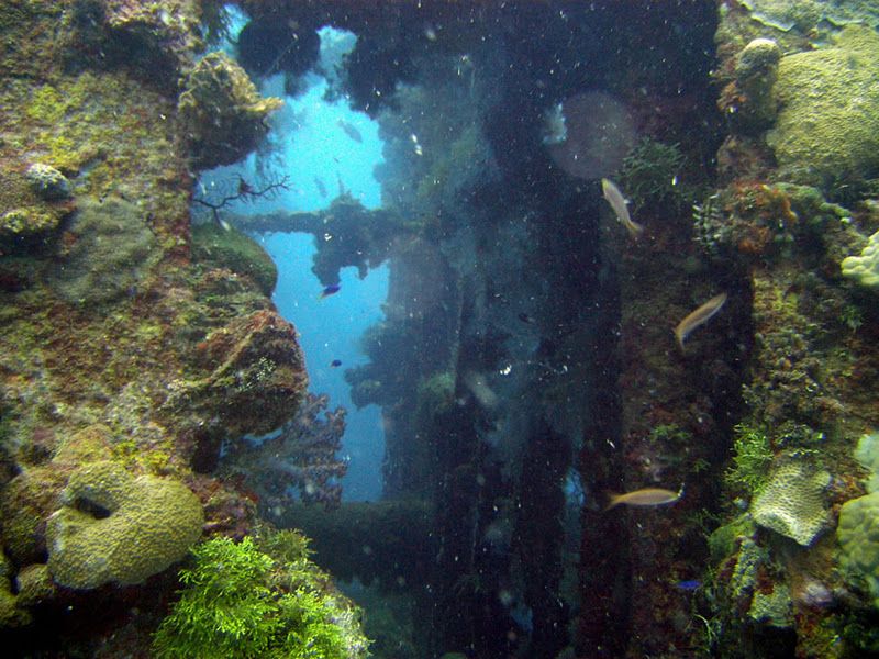 Рифы в лагуне (33 фото)