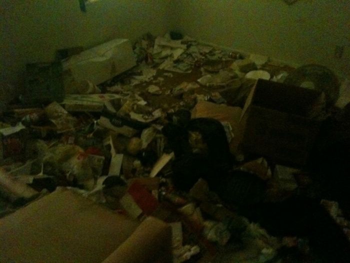 Заваленный мусором дом (10 фото)
