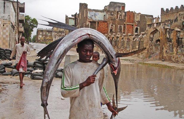 Улов сомалийских рыбаков (30 фото)