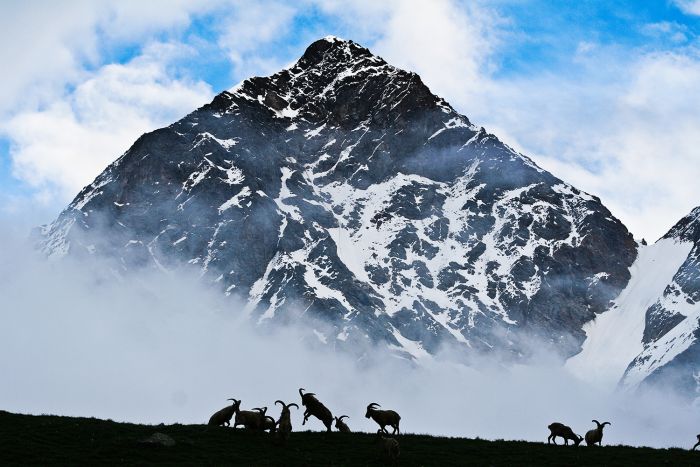Горы Кавказа (49 фото)