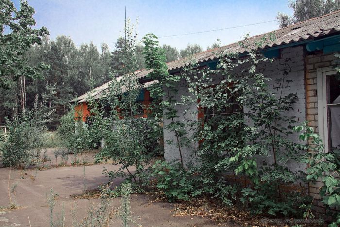 Заброшенный летний лагерь "Орленок" (31 фото)