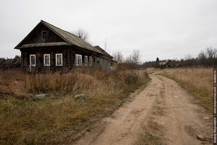 Заброшенные дома по дороге к Белому озеру (33 фото)