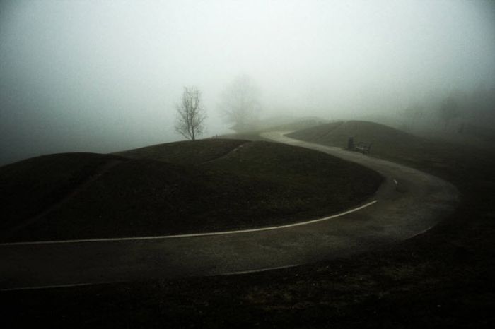 Туман (101 фото)