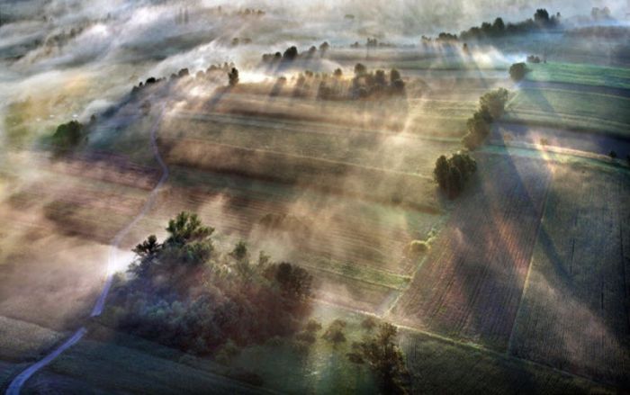 Туман (101 фото)