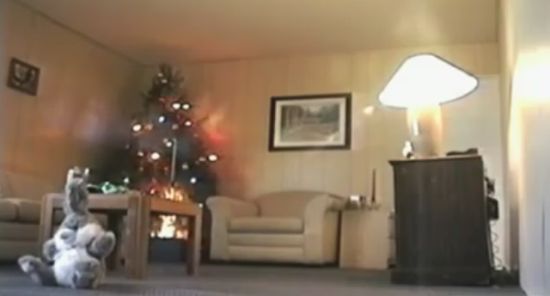 Как сгорает квартира от одной новогодней елки (видео)