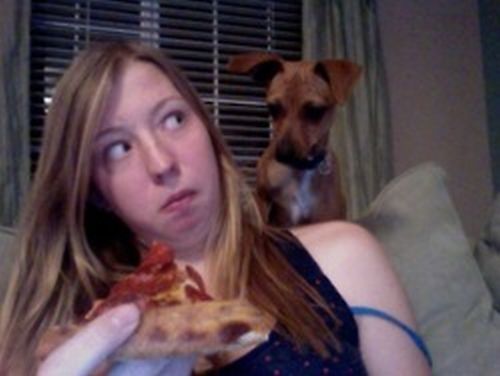 Неудачная попытка съесть пиццу (6 фото)