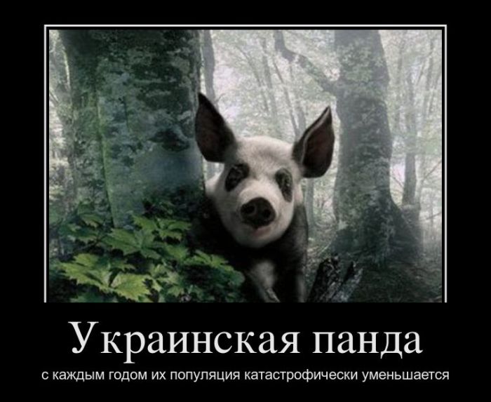 https://cdn.trinixy.ru/pics5/20120116/demotivatory_05.jpg