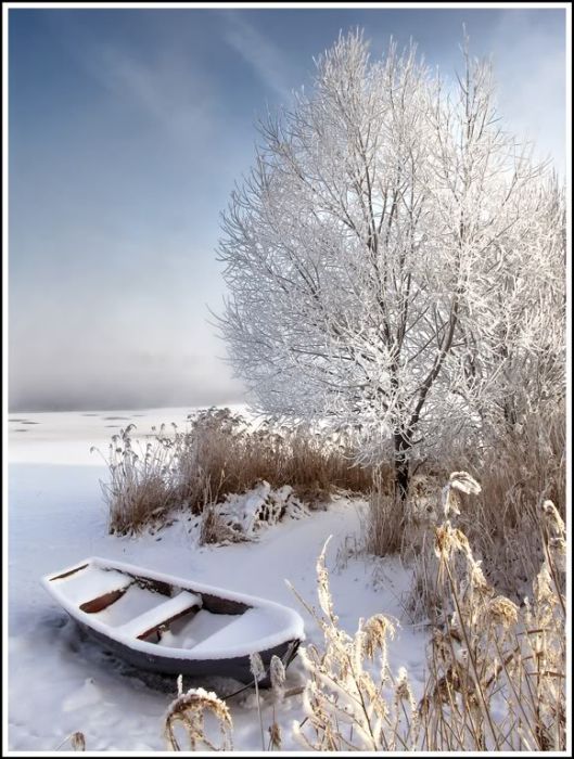 Зима в Шатуре (33 фото)