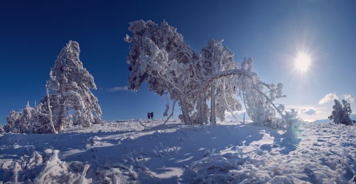Зимний Крым (48 фото)