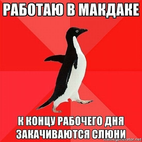Злой пингвин (50 картинок)