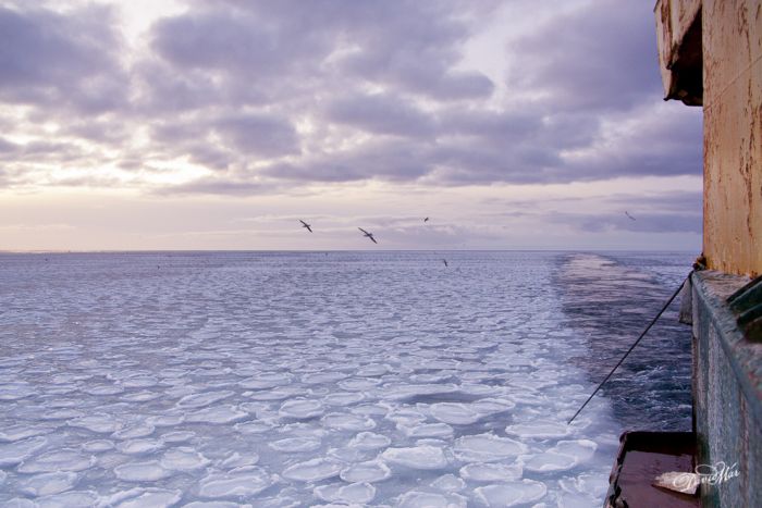 Замерзшие воды Исландии (9 фото)
