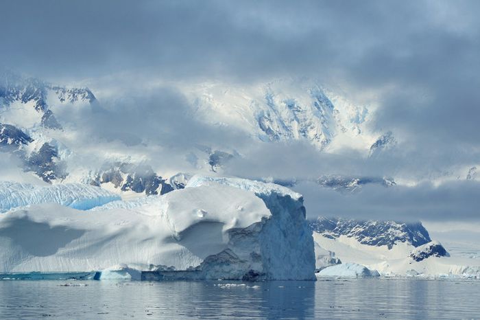 Королевство льдов - Антарктида (76 фото)