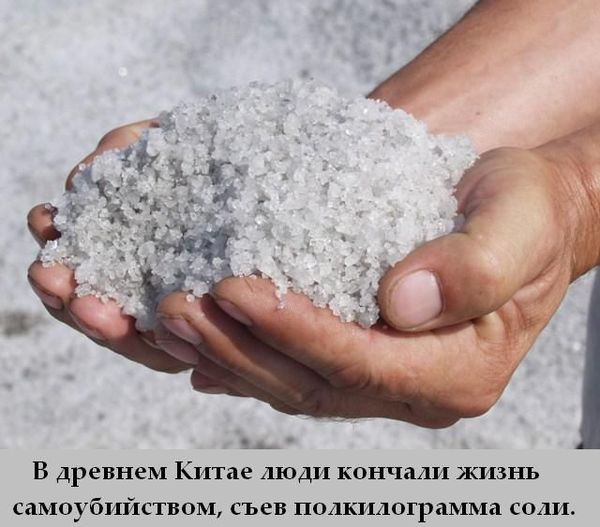 Факты обо всем на свете (43 фото) Факты обо всем на свете (43 фото)