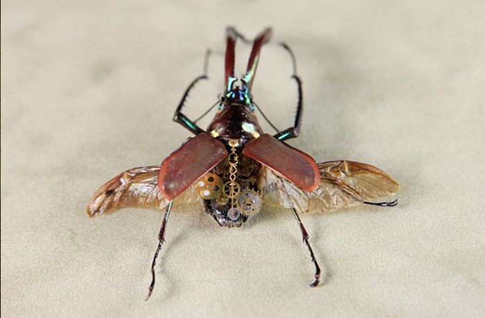 Стимпанк насекомые (27 фото)