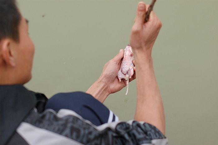 Китаец нашел крысу (5 фото)