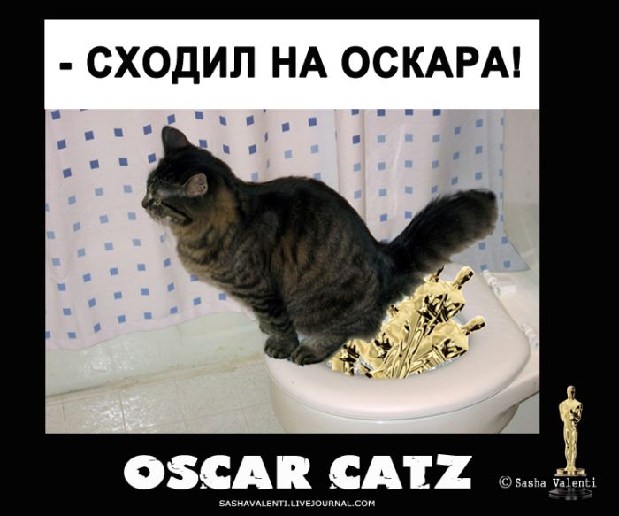 Коты и "Оскар" (7 картинок)