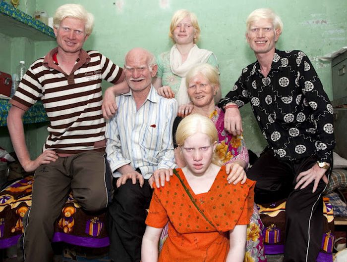 Самая большая семья альбиносов (17 фото)