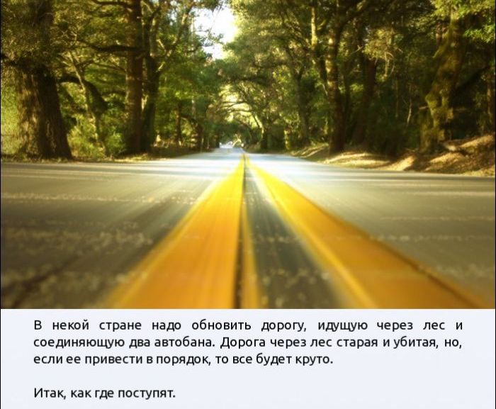 Дорога через лес (1 картинка)
