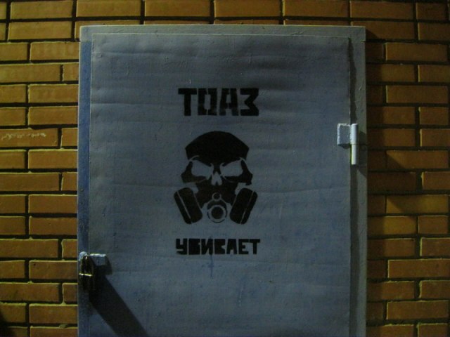 Партизанская акция тольяттинских экоактивистов (10 фото)