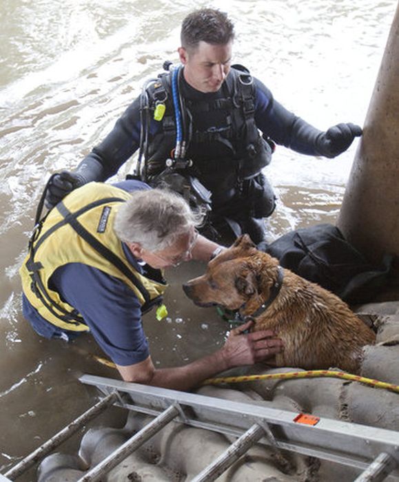 Спасение собаки в Канзасе (20 фото)