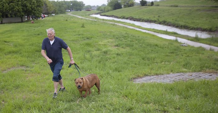 Спасение собаки в Канзасе (20 фото)